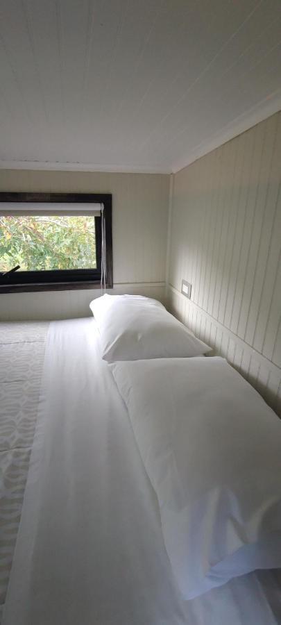 Cabanas Alto Bosque Pucón Kültér fotó